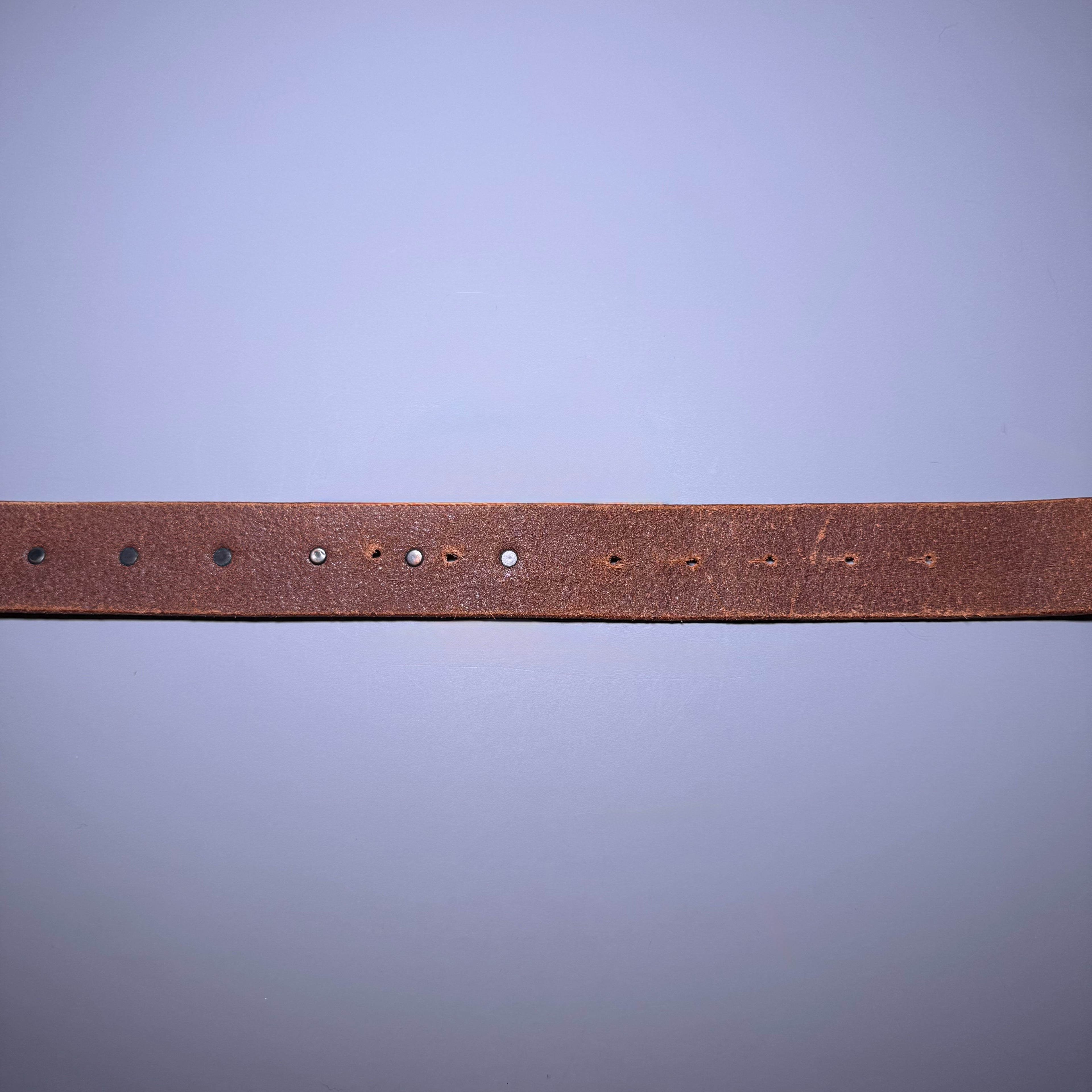 Just Cavalli Studded Leather belt Green Buckle